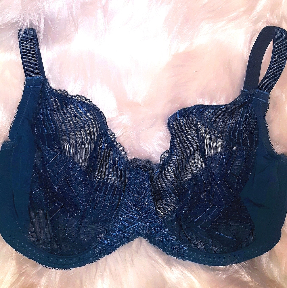 Plus Size 38DDD lace Push-up Bra-BodyCorps Blue